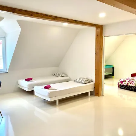 Apartment 80qm Under The Castle Ljubljana